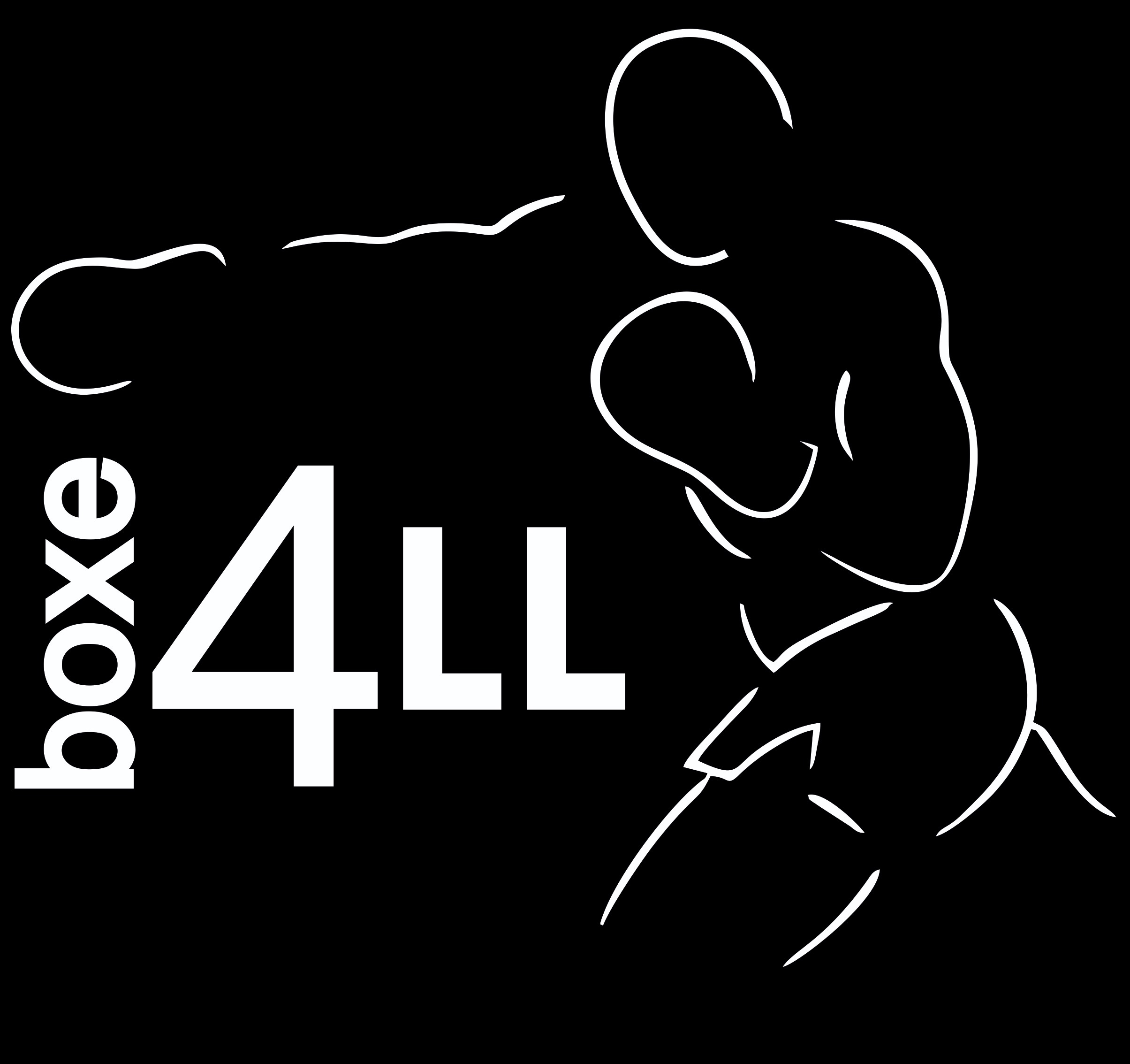 box4all big logo